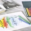 Faber-Castell 12 Polychromos Artists Colour Pencil Tin