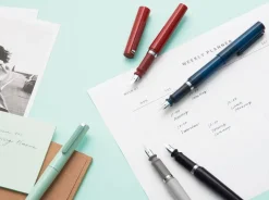 Sailor TUZU Adjust Grey Fountain Pen
